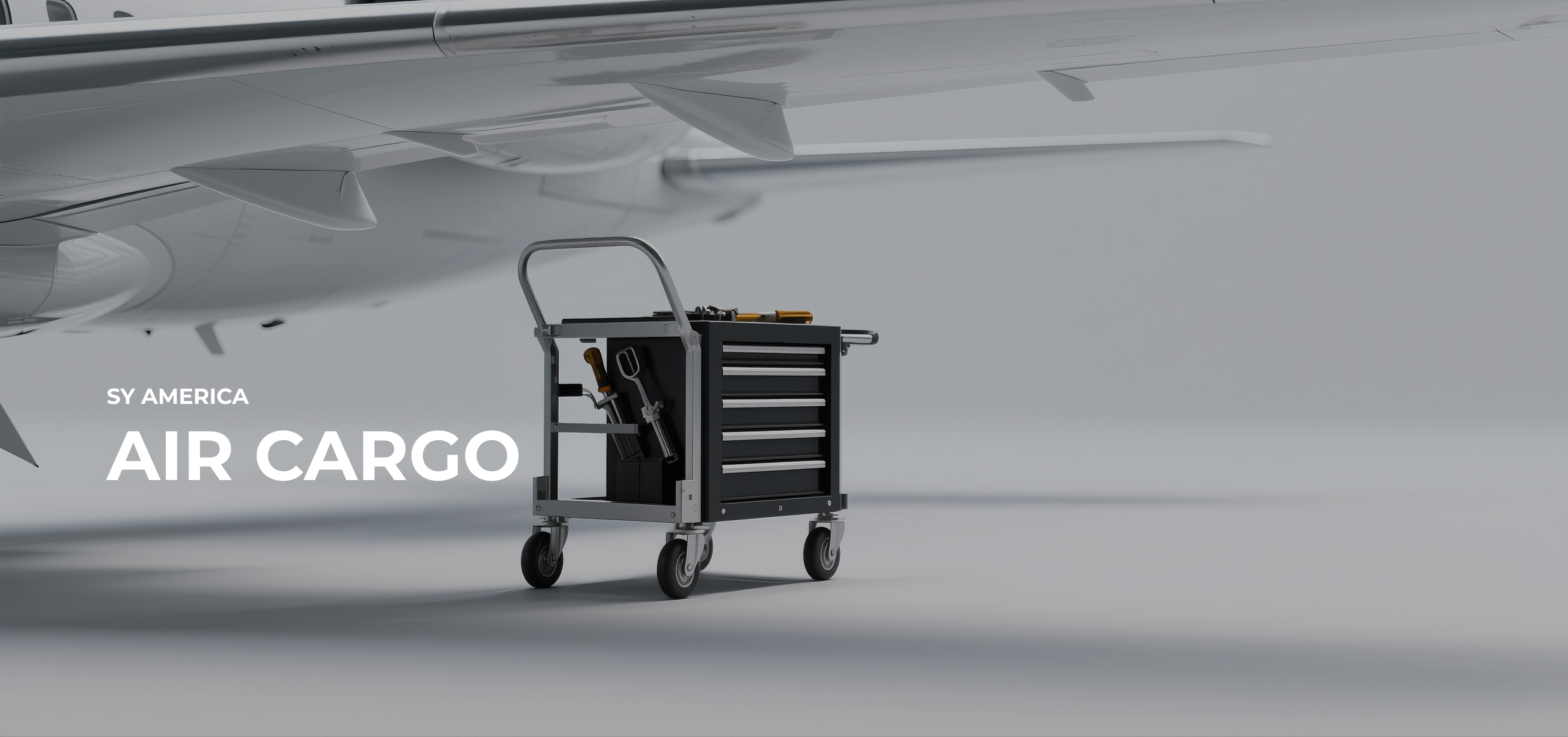Air Cargo – SY America