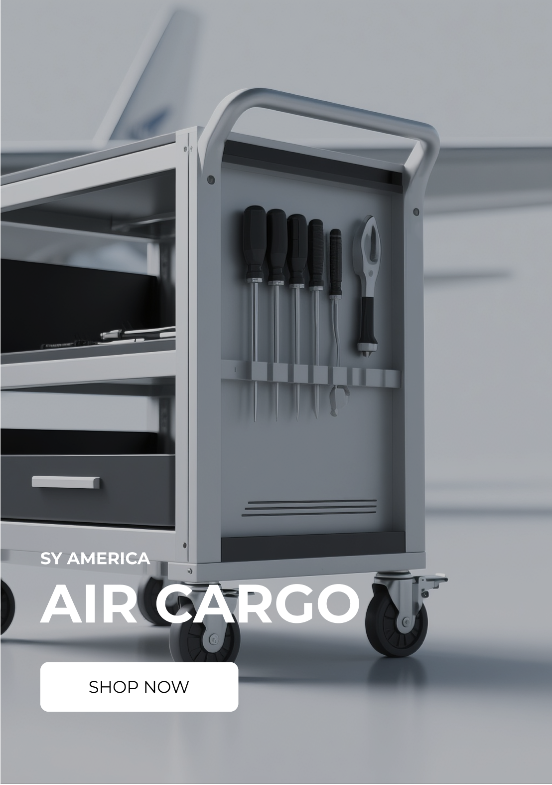 Air Cargo